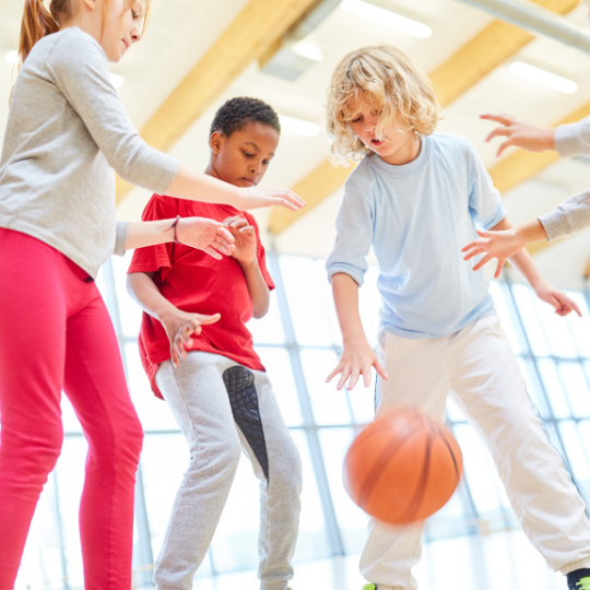 Çocuklarda Spor ve Fiziksel Aktiviteler Semineri