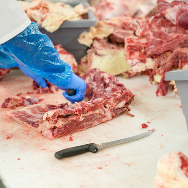 Et ve Et Ürünleri İşlemeciliği Eğitimi Sertifikası